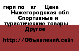 2гири по 16кг  › Цена ­ 1 000 - Нижегородская обл. Спортивные и туристические товары » Другое   